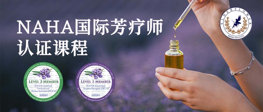NAHA国际芳疗师认证课程