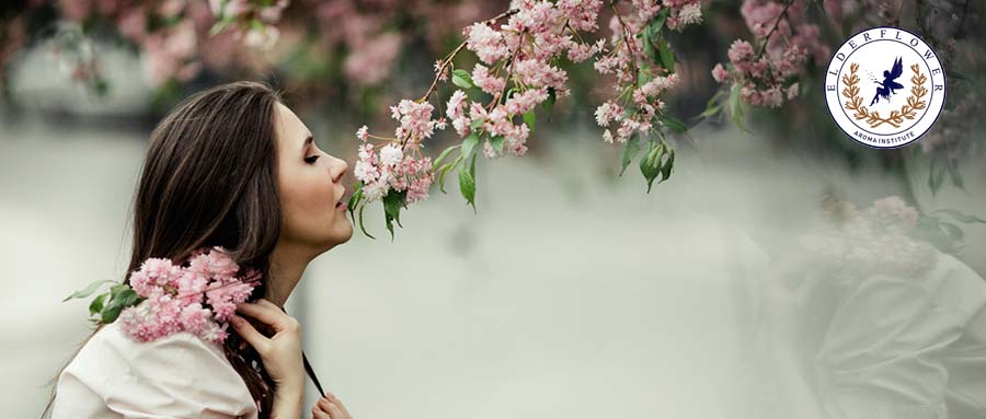 强强合作：芳香疗法迈入中国医疗体系，开启行业新征程！