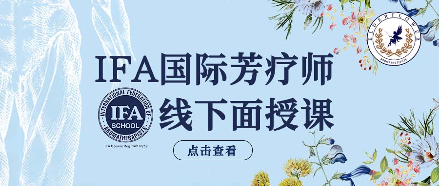 IFA线下面授课 │ 广州&重庆任选！