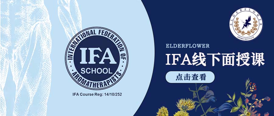 4月IFA线下面授课开启报名｜重庆、广州、杭州三城联动